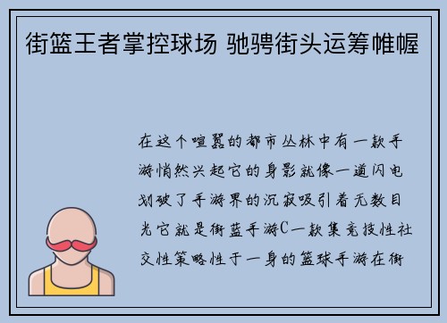 街篮王者掌控球场 驰骋街头运筹帷幄